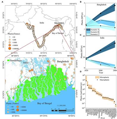 World's Largest Mangrove Forest Becoming Plastic Cesspit